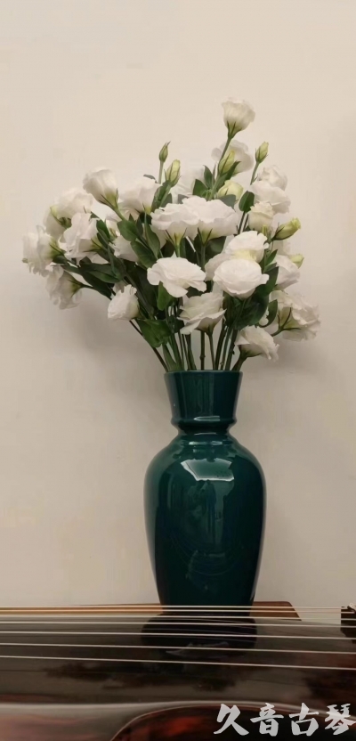 九龙早安  人生如花，我们都是自己航船的船长。